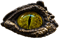 CrocEye